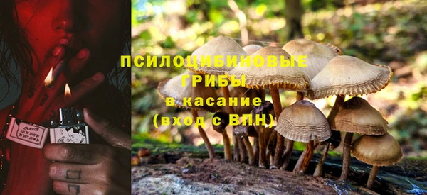 гидропоника Балахна