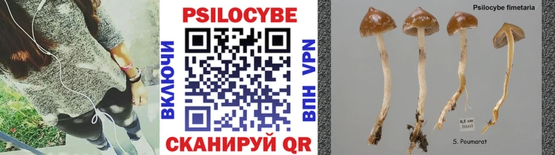 цена   Калуга  Галлюциногенные грибы ЛСД 