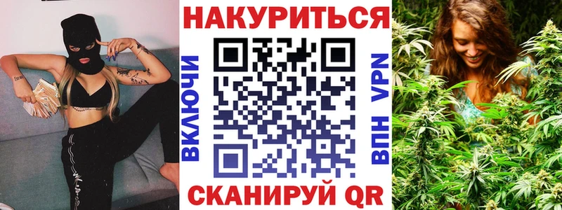 Бошки Шишки планчик Калуга